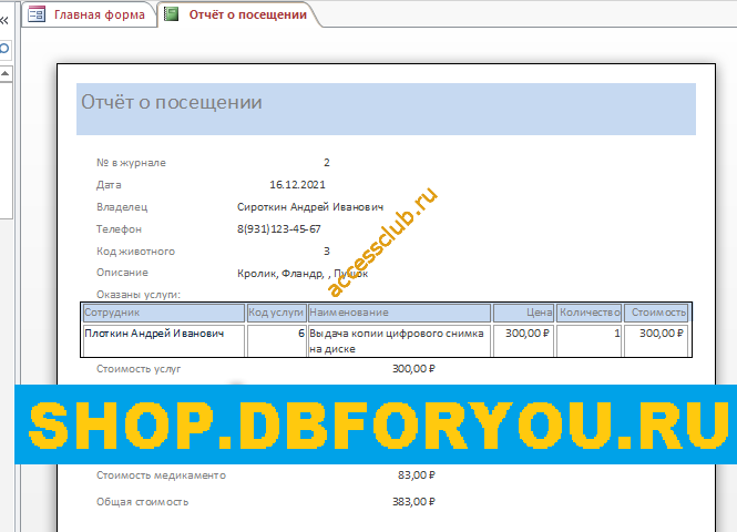Скачать базу данных access Ветеринарная клиника. Отчёт о посещении