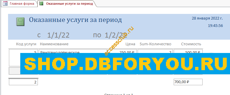 Скачать базу данных access Ветеринарная клиника. Оказанные услуги за период