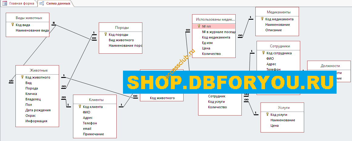 Схема готовой базы данных «Ветеринарная клиника» отображает связи таблиц: Должности, Услуги, Сотрудники Медикаменты, Оказаны услуги, Использованы медикаменты, Журнал посещений, Породы, Клиенты, Виды животных, Животные.