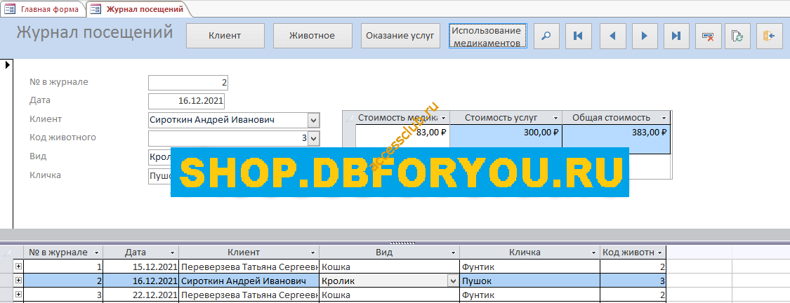 Скачать базу данных access Ветеринарная клиника. Форма Журнал посещений