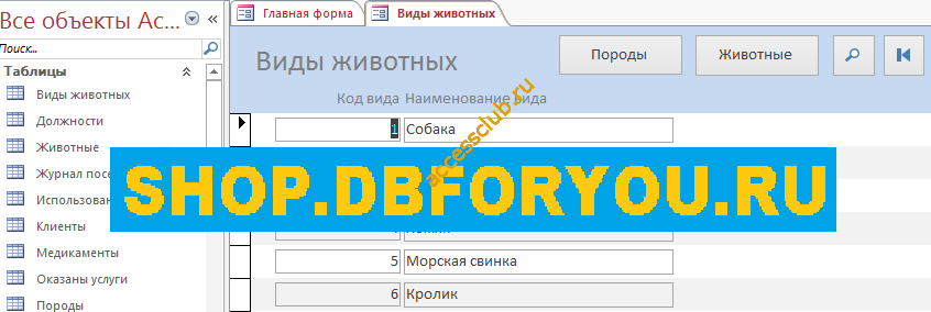 Форма Виды животных в базе данных Ветеринарная клиника.