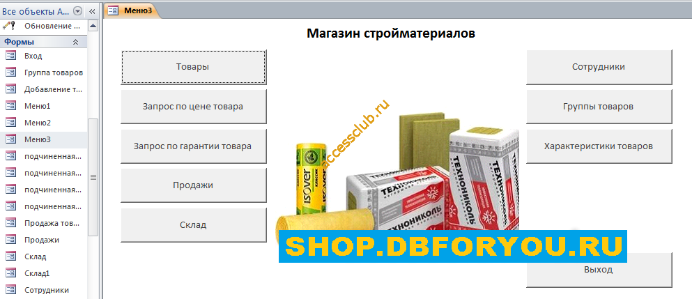 Готовая база данных access «Магазин стройматериалов» для курсовой или дипломной работы